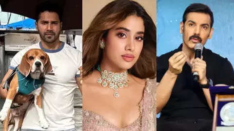 बॉलीवुड सितारों ने आवारा कुत्तों को हटाने वाले सुप्रीम कोर्ट के आदेश का विरोध किया। बॉलीवुड सितारों ने आवारा कुत्तों को हटाने वाले सुप्रीम कोर्ट के आदेश का विरोध किया।