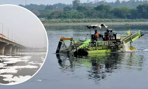 how reduce Yamuna pollution