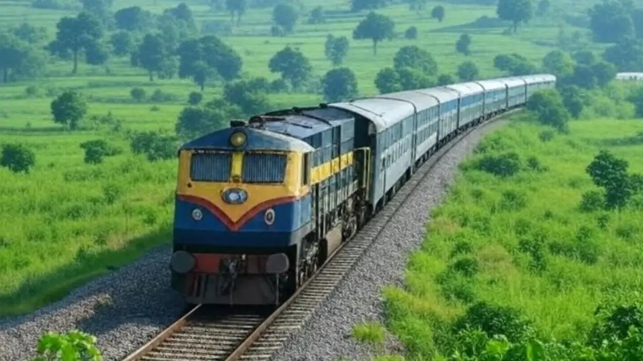 railway cattle penalty