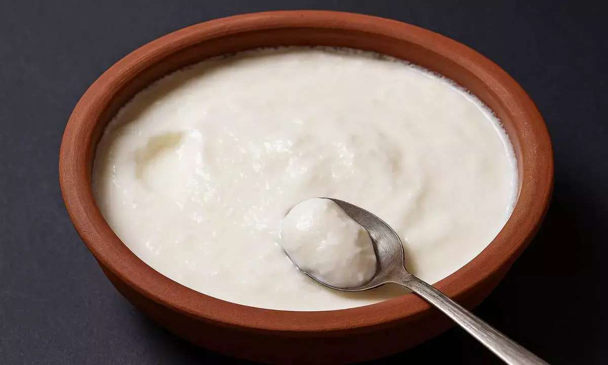 curd making tips
