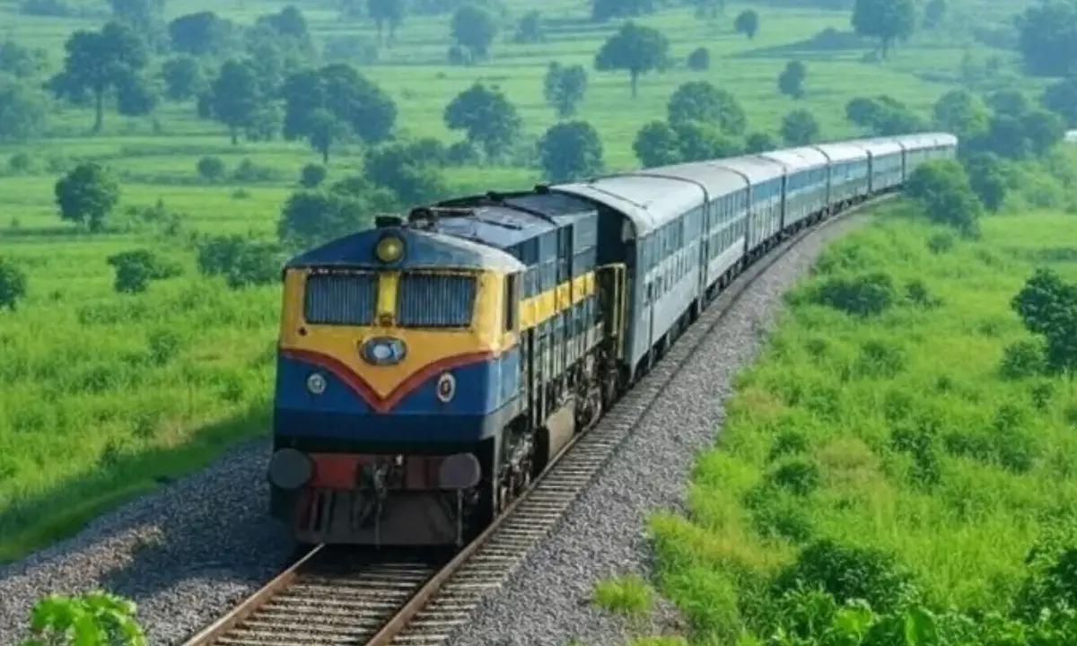 railway cattle penalty