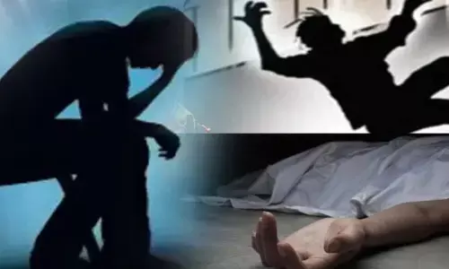 Delhi lawyer commits suicide