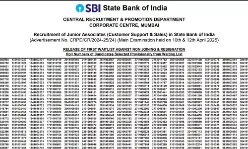 SBI Clerk 1st Waiting List 2025 released direct link pdf download
