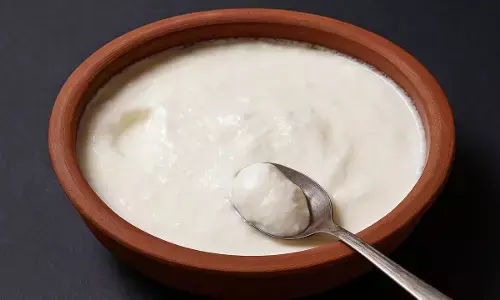 curd making tips
