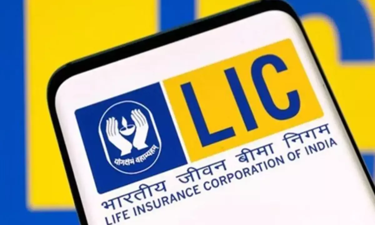 LIC Disinvestment Plan 2025