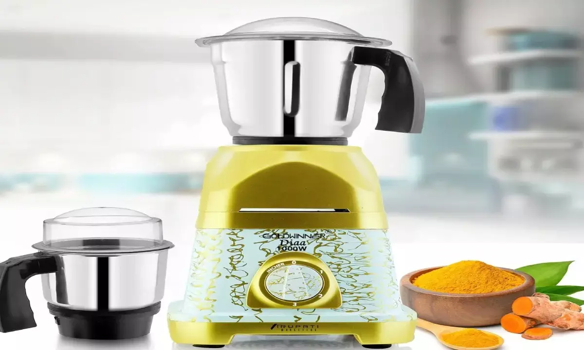 Best 1000 Watts Mixer Grinder (2025)