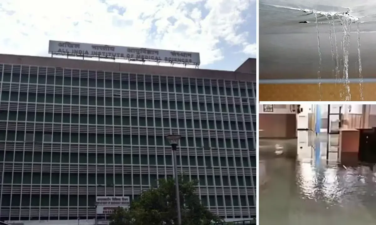 Delhi AIIMS Waterlogging Delhi AIIMS Waterlogging
