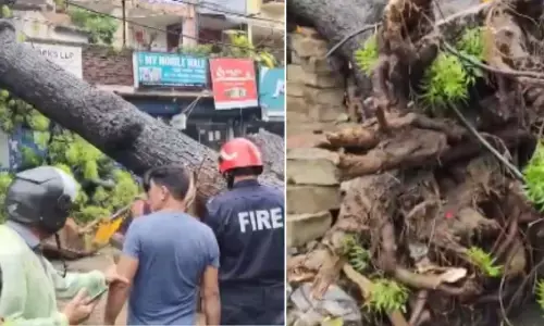 Delhi Kalkaji Tree Fall on car bike 1 died