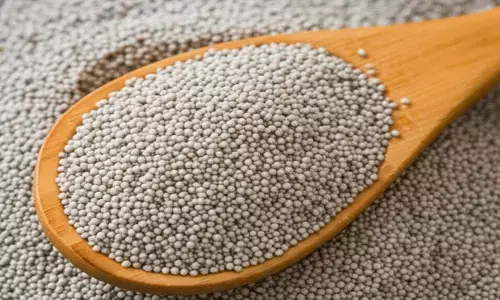 poppy seeds health benefits
