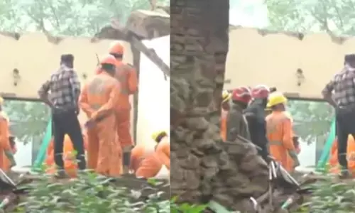 Humayun Tomb Roof Collapse