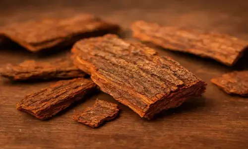 अर्जुन की छाल के पानी का सेवन