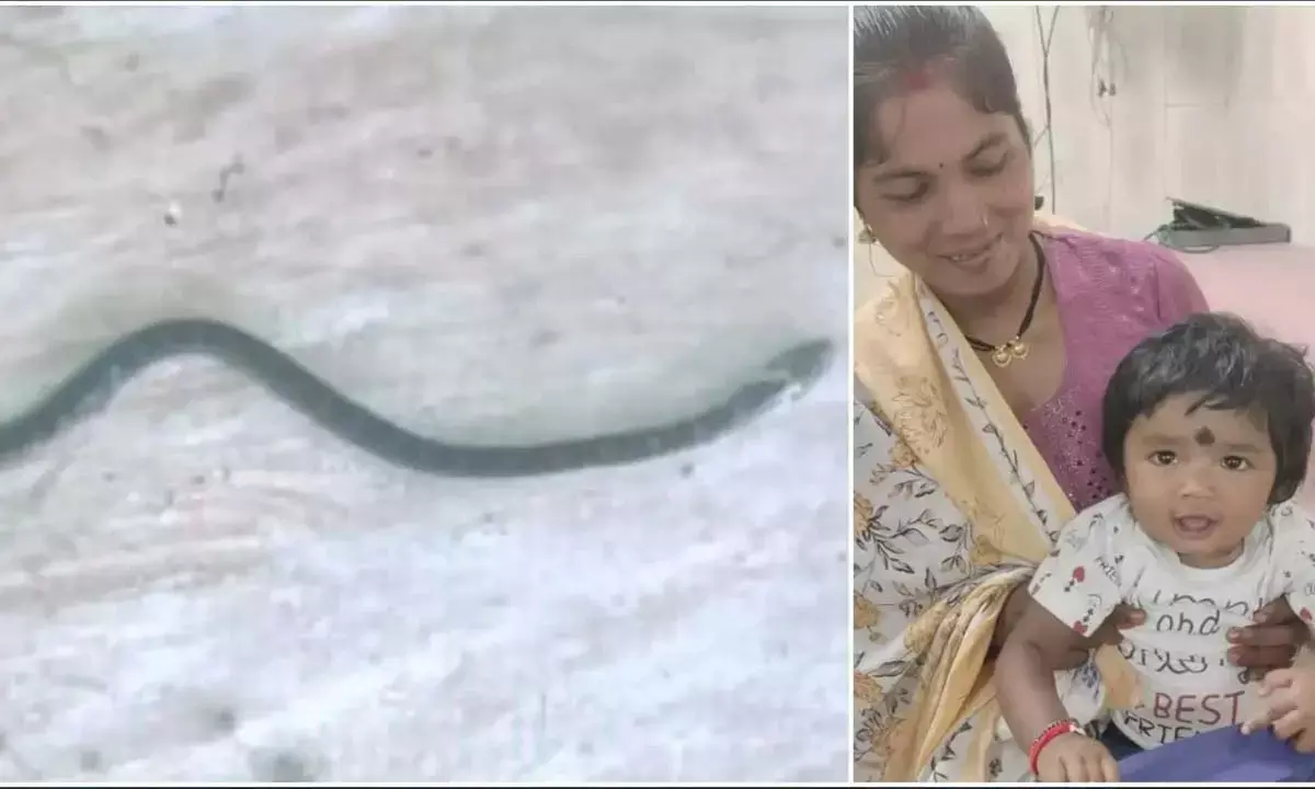 बच्ची ने खिलौना समझकर सांप को काट डाला