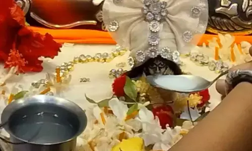 जन्माष्टमी पर कोंडागांव में हुआ कमाल : नगर पालिका के CMO के निवास पर लड्डू गोपाल पी रहे दूध जन्माष्टमी पर कोंडागांव में हुआ कमाल : नगर पालिका के CMO के निवास पर लड्डू गोपाल पी रहे दूध