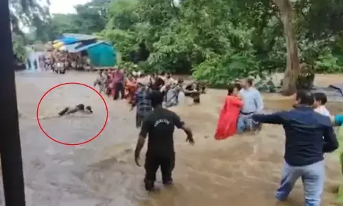 सियादेवी मंदिर मार्ग पर बड़ा हादसा : रपटे पर पानी के तेज बहाव में बहे दो युवक सियादेवी मंदिर मार्ग पर बड़ा हादसा : रपटे पर पानी के तेज बहाव में बहे दो युवक