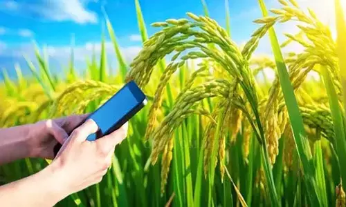 खेतों में गिरदावरी की नई प्रणाली : डिजिटल क्रॉप सर्वे शुरू, मिलेगी सटीक जानकारी खेतों में गिरदावरी की नई प्रणाली : डिजिटल क्रॉप सर्वे शुरू, मिलेगी सटीक जानकारी