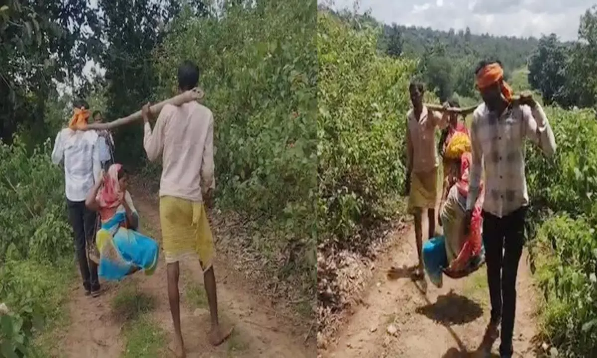 कांवर पर ढोकर गर्भवती महिला को 2 किमी. तक ले जाया गया