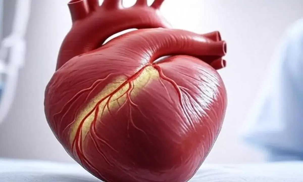 दिल को जवान कैसे रखें