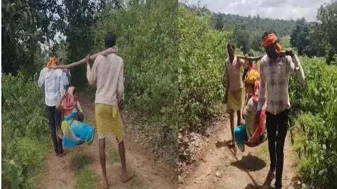 कांवर पर ढोकर गर्भवती महिला को 2 किमी. तक ले जाया गया कांवर पर ढोकर गर्भवती महिला को 2 किमी. तक ले जाया गया