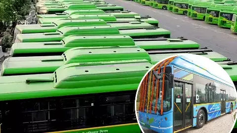 Delhi DTC Buses