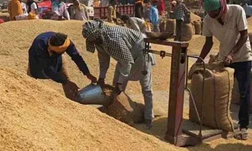 धान खरीदी की बनेगी नई नीति : खुलेंगे नए केंद्र, मिलेगी फाइव स्टार रेटिंग