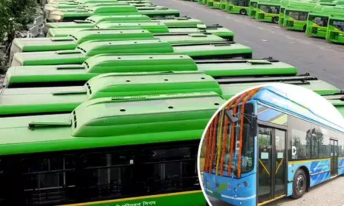 Delhi DTC Buses