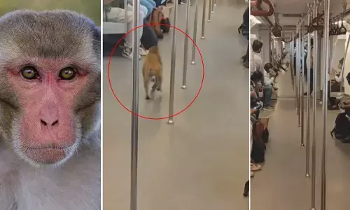 Delhi metro Viral Video