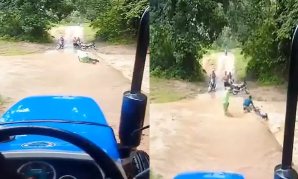 झमाझम बारिश से नदी-नाले उफान पर