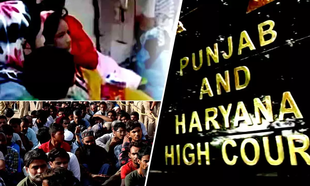 Punjab Haryana High Court