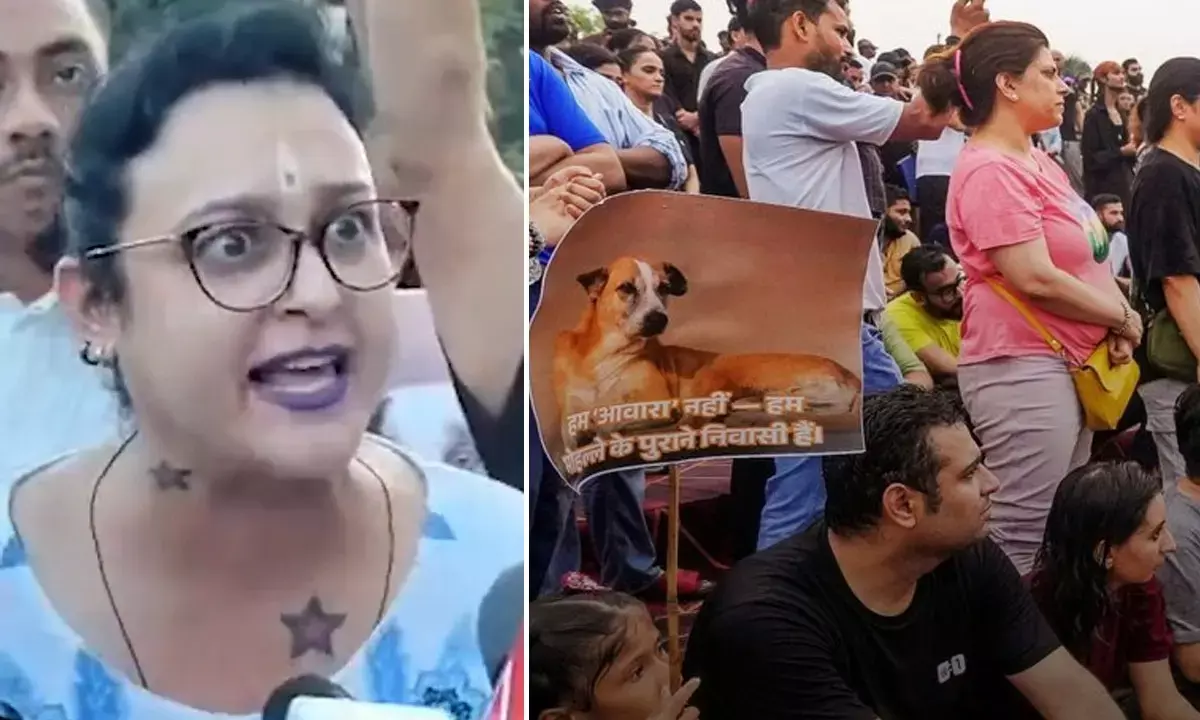 Dog Lovers Protest