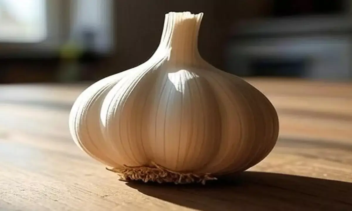 लहसुन खाने के सेहत को फायदे