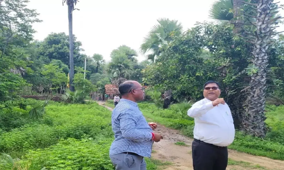 में विद्युत कंपनी की ओर से नियद नेल्लानार योजना से बिजली पहुंचाने का कार्य शुरू किया गया है