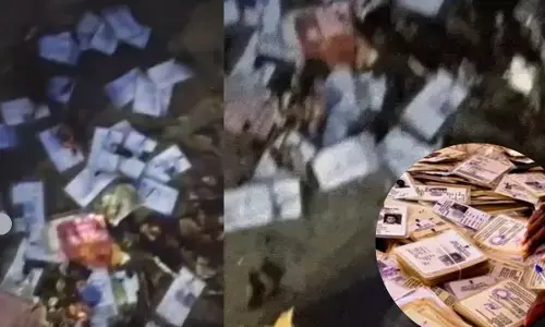 टीकमगढ़: केंद्रीय मंत्री वीरेंद्र कुमार के बंगले के पास पड़े वोटर आईडी कार्ड।