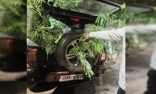 हादसे में क्षतिग्रस्त हुई थार