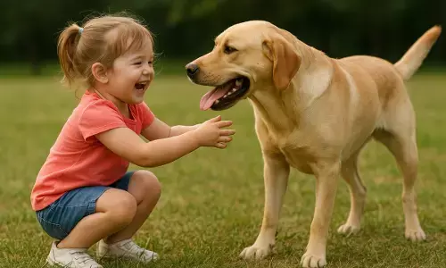 डॉग लवर्स सावधान: जानलेवा हो सकती है कुत्तों की लार; बदायूं में मासूम की मौत