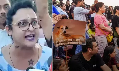 Dog Lovers Protest