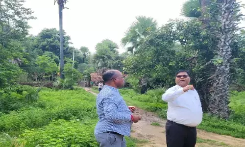 में विद्युत कंपनी की ओर से नियद नेल्लानार योजना से बिजली पहुंचाने का कार्य शुरू किया गया है