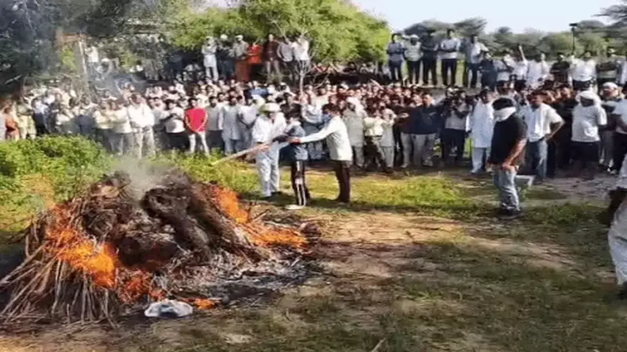 Fight for justice Fight for justice