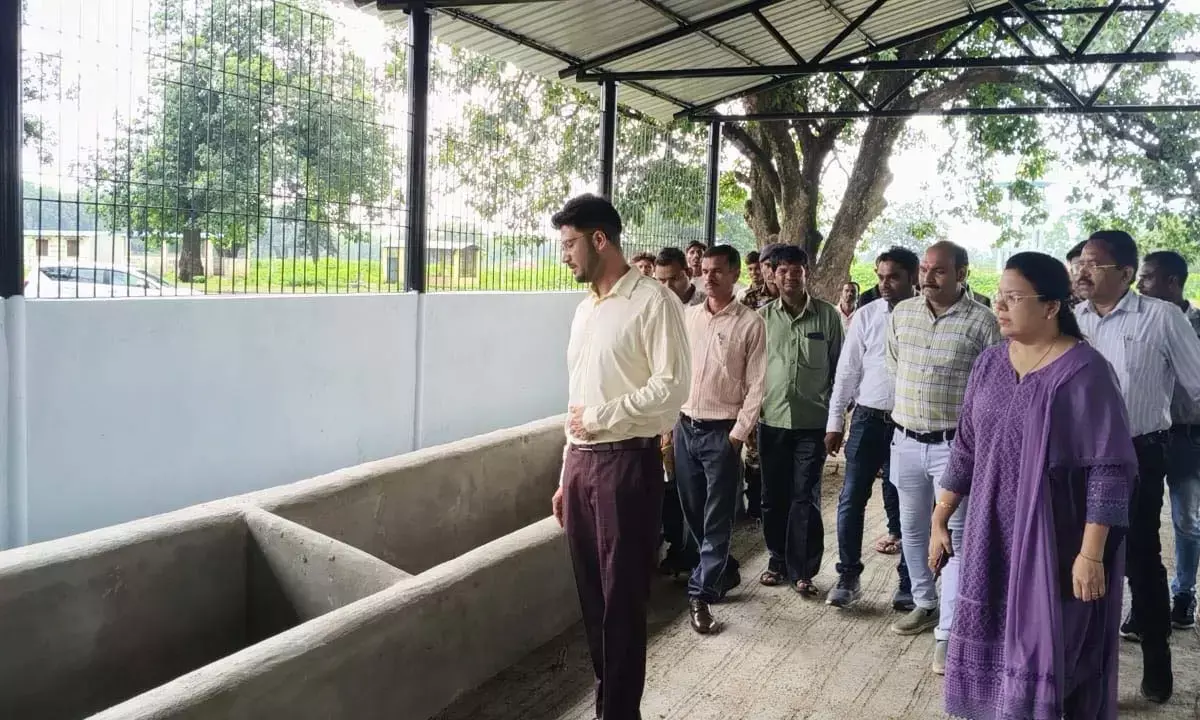 आवारा पशुओं के लिए मोहतरा में बनेगा आदर्श गौधाम