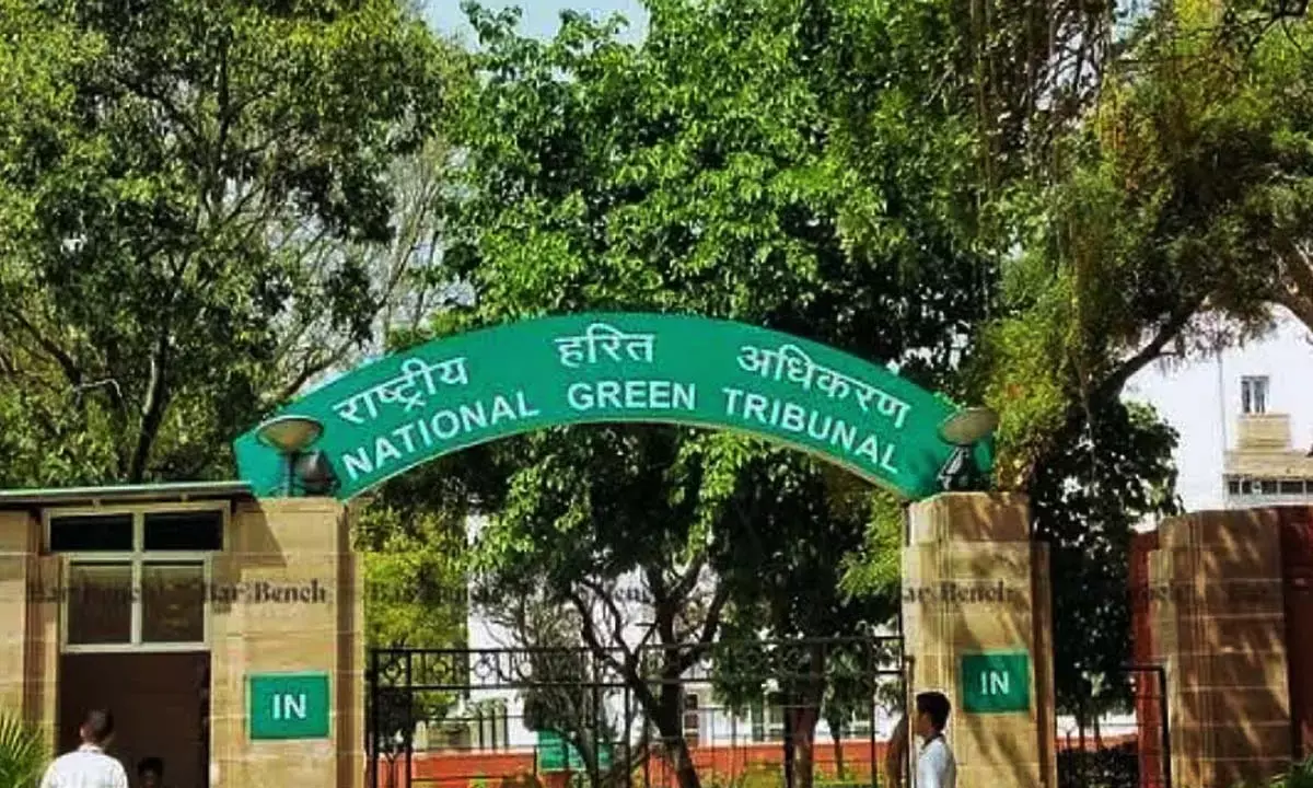 राष्ट्रीय हरित अधिकरण