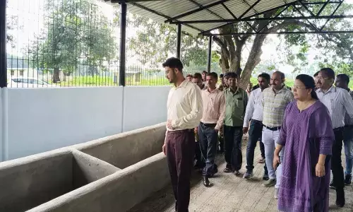 आवारा पशुओं के लिए मोहतरा में बनेगा आदर्श गौधाम