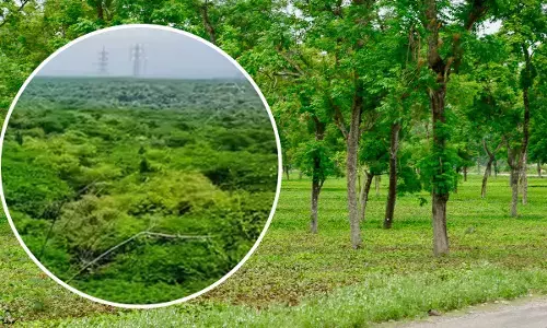 CM Nayab Singh Saini