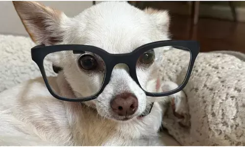 Halo X Smart Glasses Unveiled