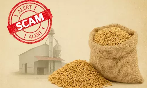 rice scam cm flying raid