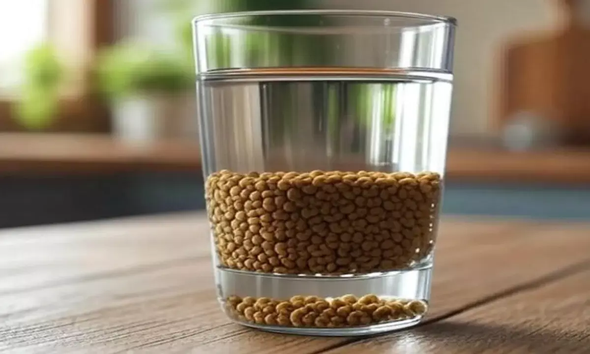 वजन कम करने के लिए पिएं मेथी का पानी