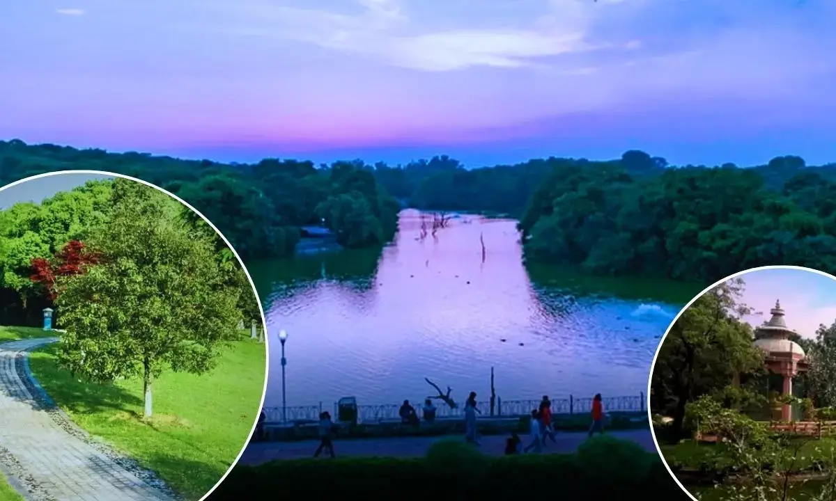 Delhi Najafgarh Drain Riverfront Project Started Atal Park