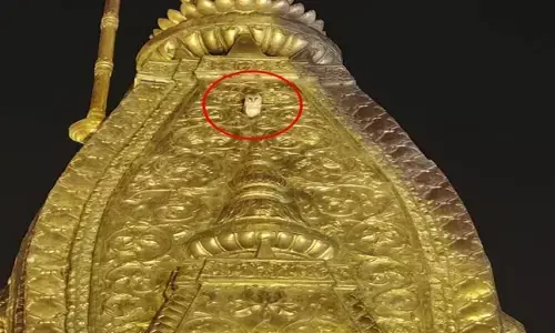 Varanasi: White owl was seen on the peak of Kashi Vishwanath temple for the third consecutive day.