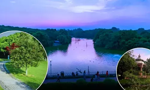 Delhi Najafgarh Drain Riverfront Project Started Atal Park