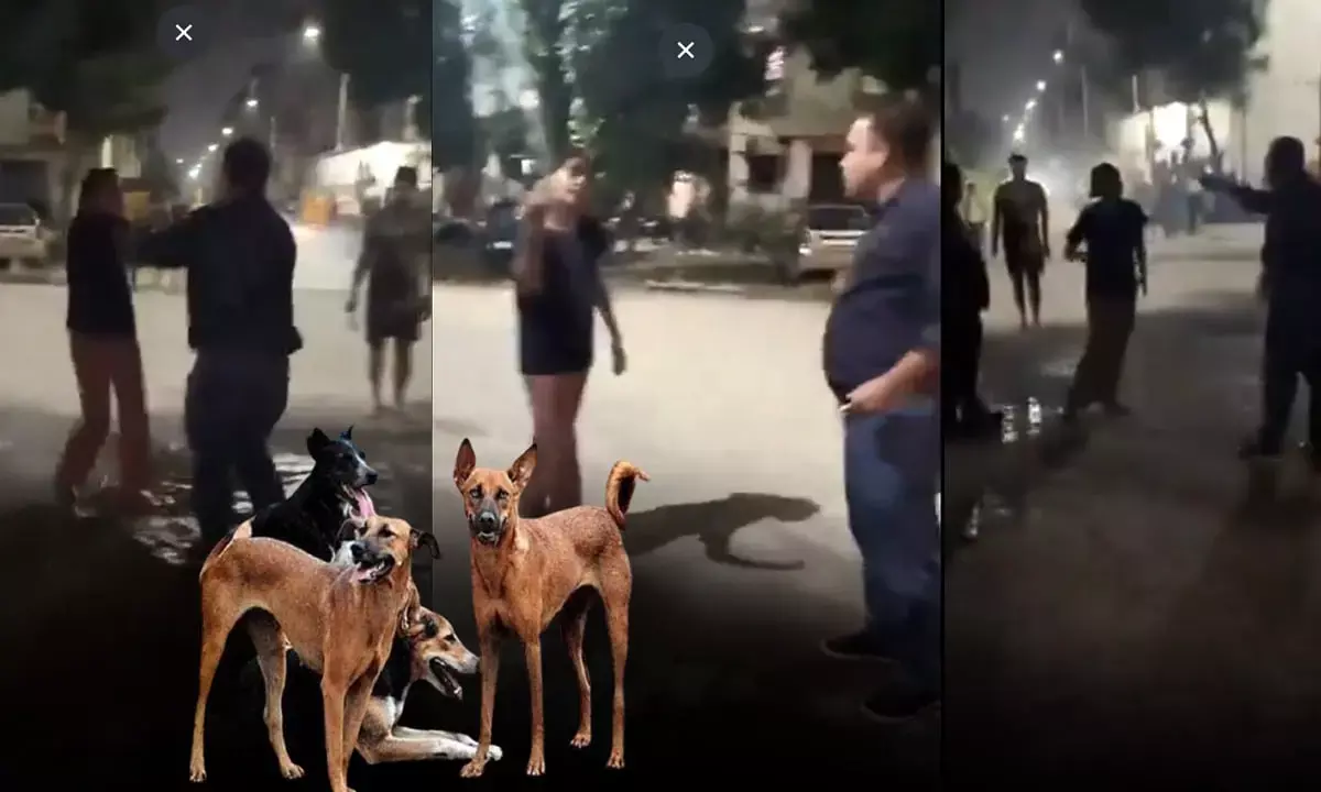 man slapped female dog lover in Ghaziabad man slapped female dog lover in Ghaziabad