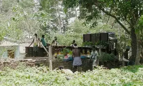 बीजापुर में विस्थापन प्रक्रिया शुरू : इंद्रावती टाइगर रिजर्व से हटेंगे 21 गांव