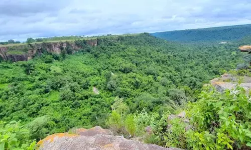 छत्तीसगढ़ के वनों से पिछले 25 सालों में कई लाभ हुए हैं